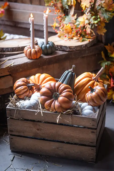 Ljuslykta pumpa - grön
