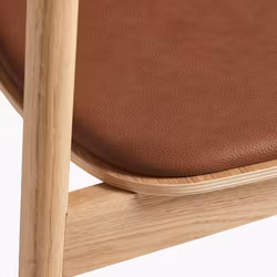 Soma Dining Chair with Leather