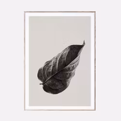 Sabi Leaf 01 - 50x70 cm