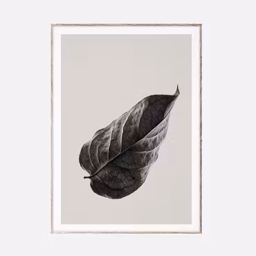 Sabi Leaf 01 - 50x70 cm