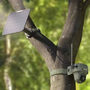 Reolink GO Ranger PT (G450)