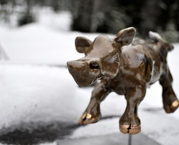 Pärlan på grönbete