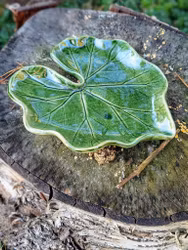 Pelargonfat