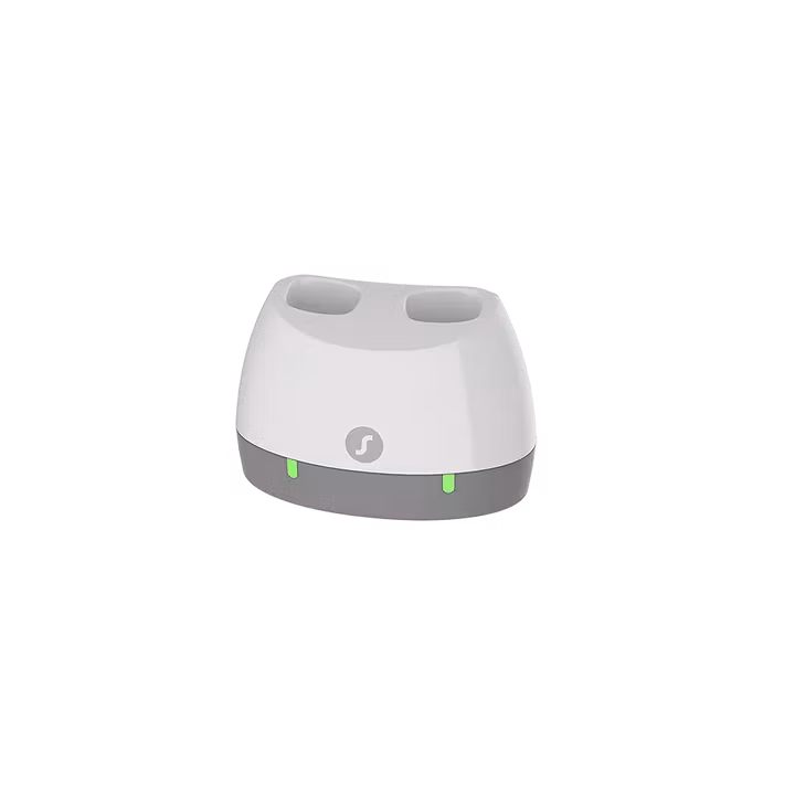 Signia - Standard Laddare RIC