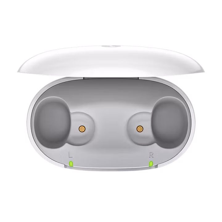 Signia - Active Pro IX Laddare