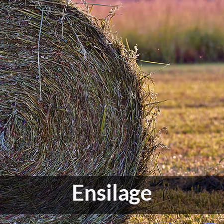 Ensilage - Farmab DK