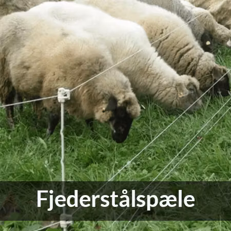 Fjederstålspæle - Farmab DK