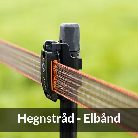 Elbånd - Farmab DK