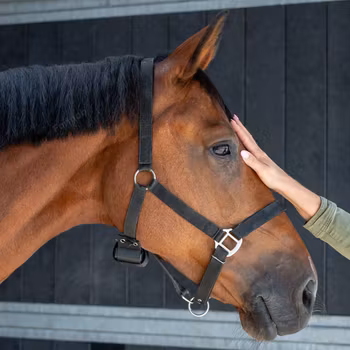 Folingsalarm Birth Alarm Lite 2.0