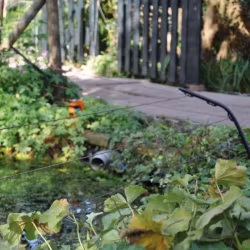 Vinklet dam- og havepæl Gallagher sort 50 cm - 5 stk