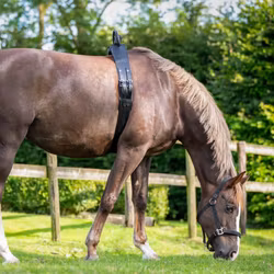 Anti-rullegjord Birth Alarm komplet 1,25 m