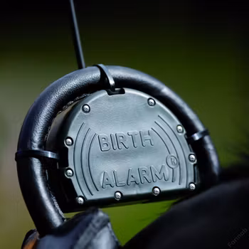 Ekstra sender Birth Alarm Classic 433MHz