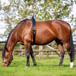 Anti-rullegjord Birth Alarm