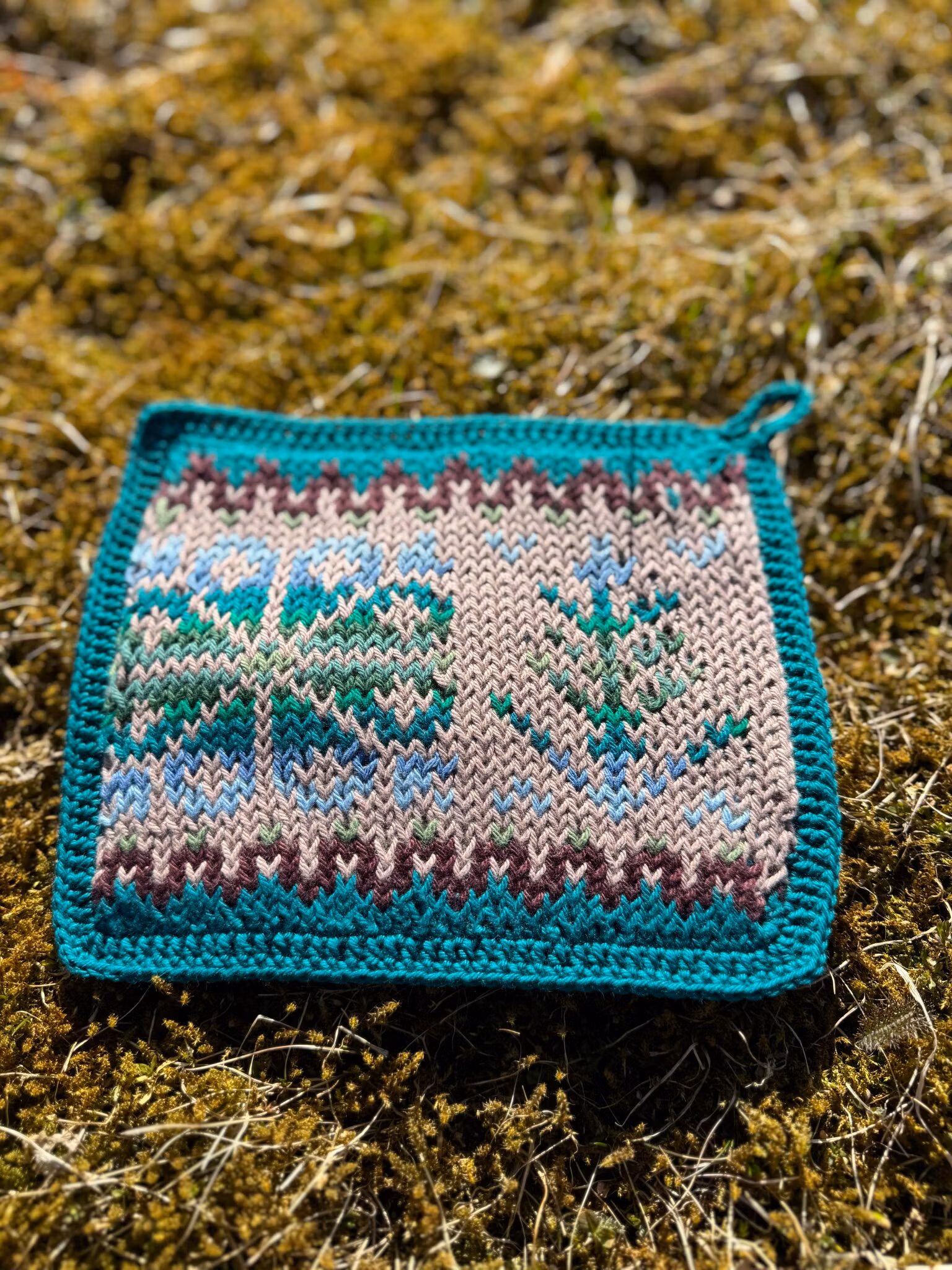 Grytlapp - Fair Isle