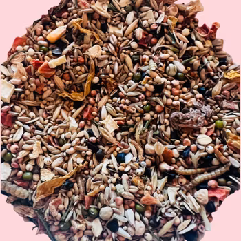 Fullfôr Senior - Syrisk hamster