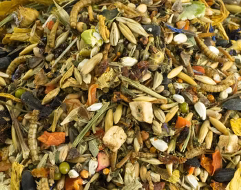 Getzoo Hamsterfôr – Syrisk hamster 500 g