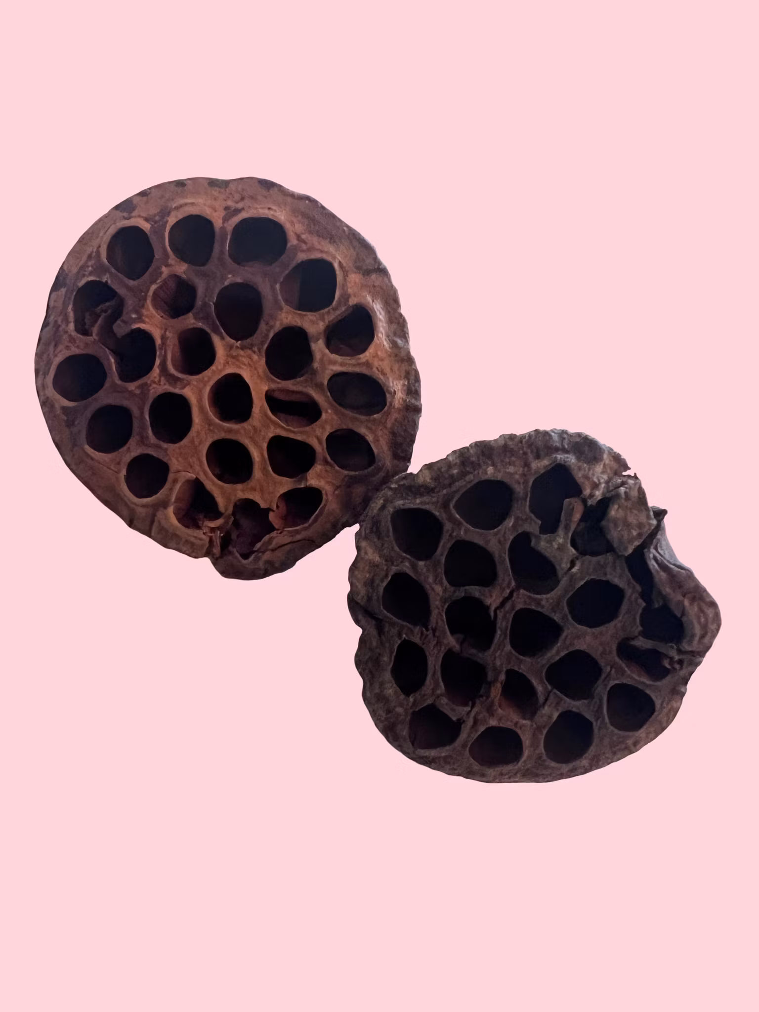 Tørket Lotusblomst – 2. sortering