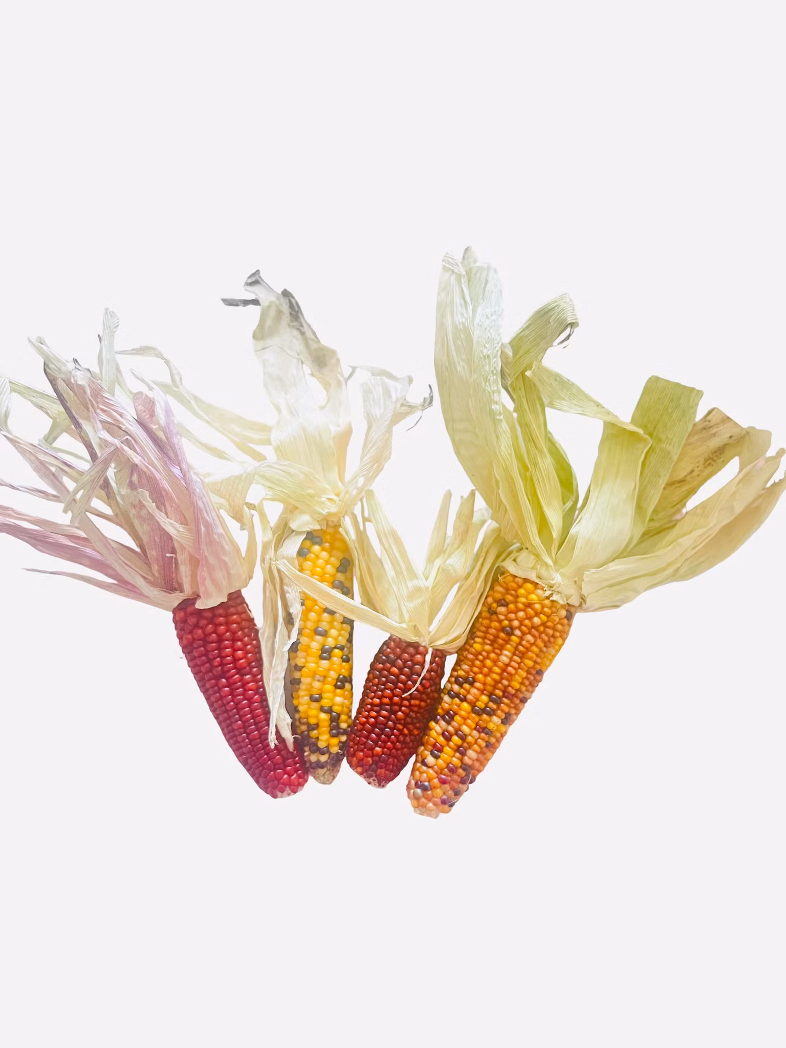 Tørket minimais i ulike farger, 70g