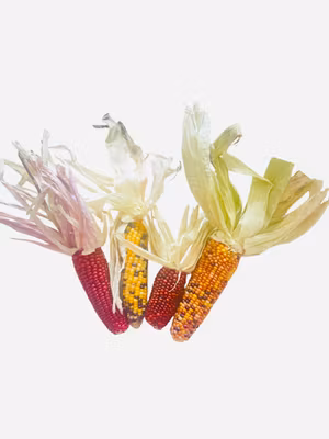 Tørket minimais i ulike farger, 70g