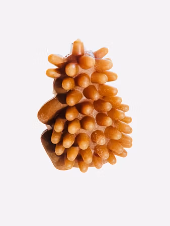 Whimzees Pinnsvin – Str. L