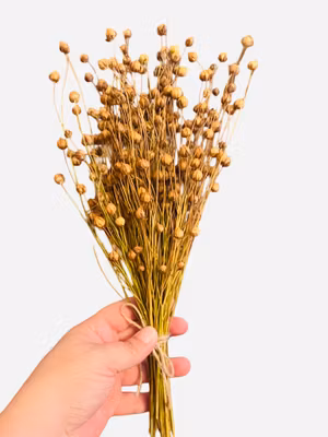 Tørket Lin bukett "Flax sprays"