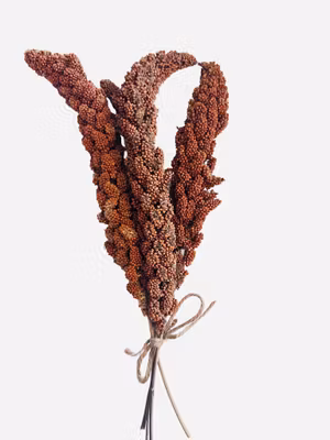 Hirsekolber Rød 80g