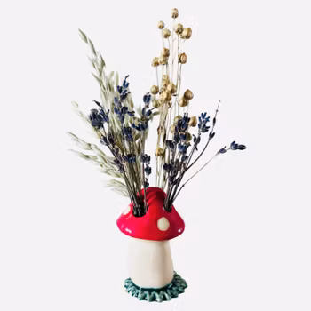 Stråholder  "Spray Holder" Sopp