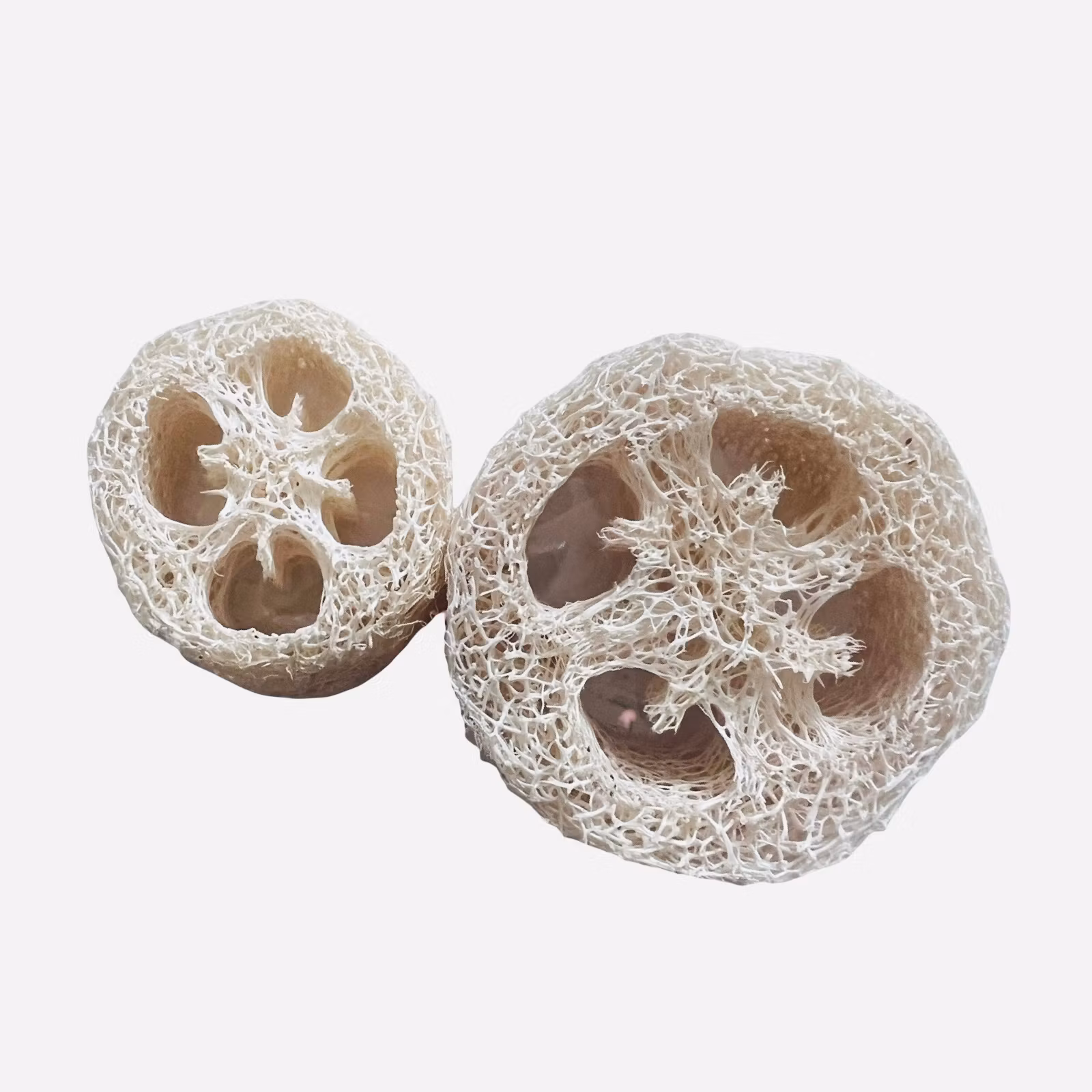 Luffaskiver (Loofah) 2st