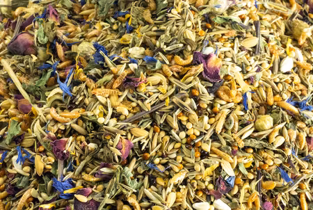 Getzoo Hamsterfôr- Dverghamster light 500g