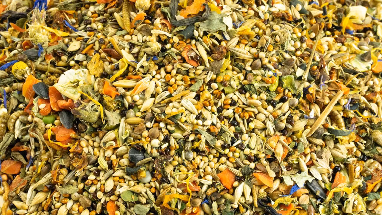 Getzoo fôr til mus 500g