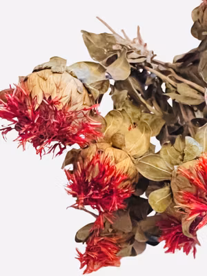 Saflorblomst (uten frø)