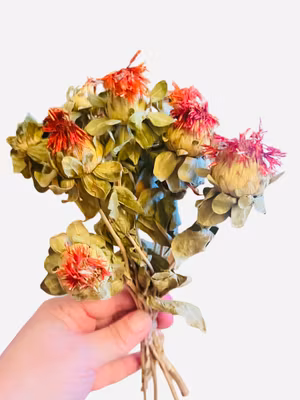 Saflorblomst (uten frø)