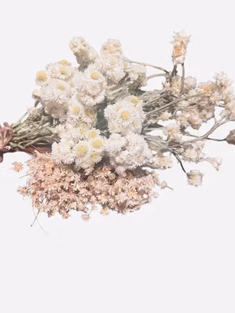 Blomster Mix – Hvit bukett