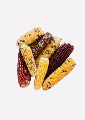 Mini maiskolber uten blad – 2 stk