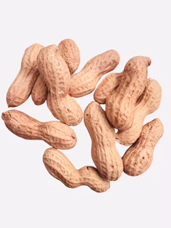 Peanøtter med skall 30g