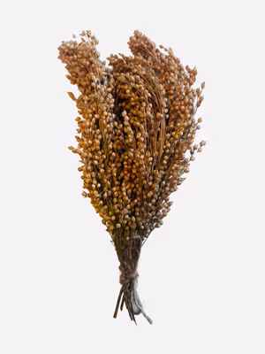 Vipphirse – minibukett