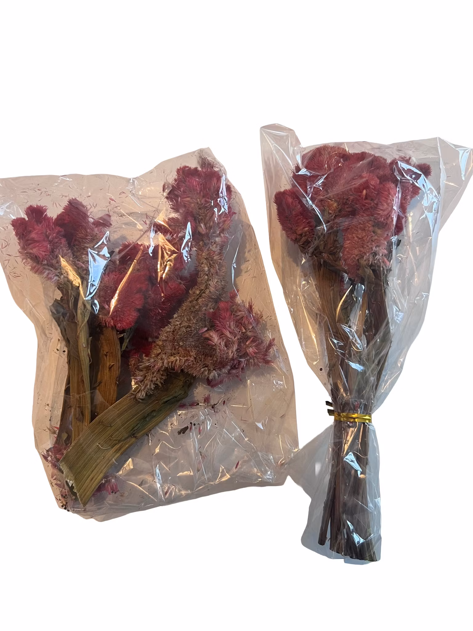 Hanekam (Celosia) - minibukett