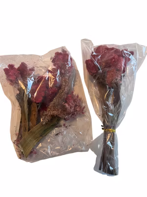 Hanekam (Celosia) - minibukett