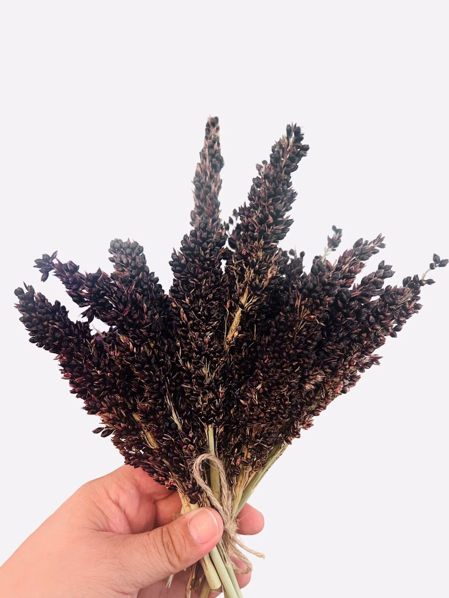 Svart sorghum – 2. sortering (110g)