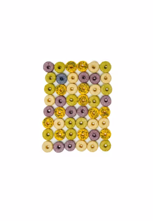 No Furries Delights – Mini Donut Bites (30 g)
