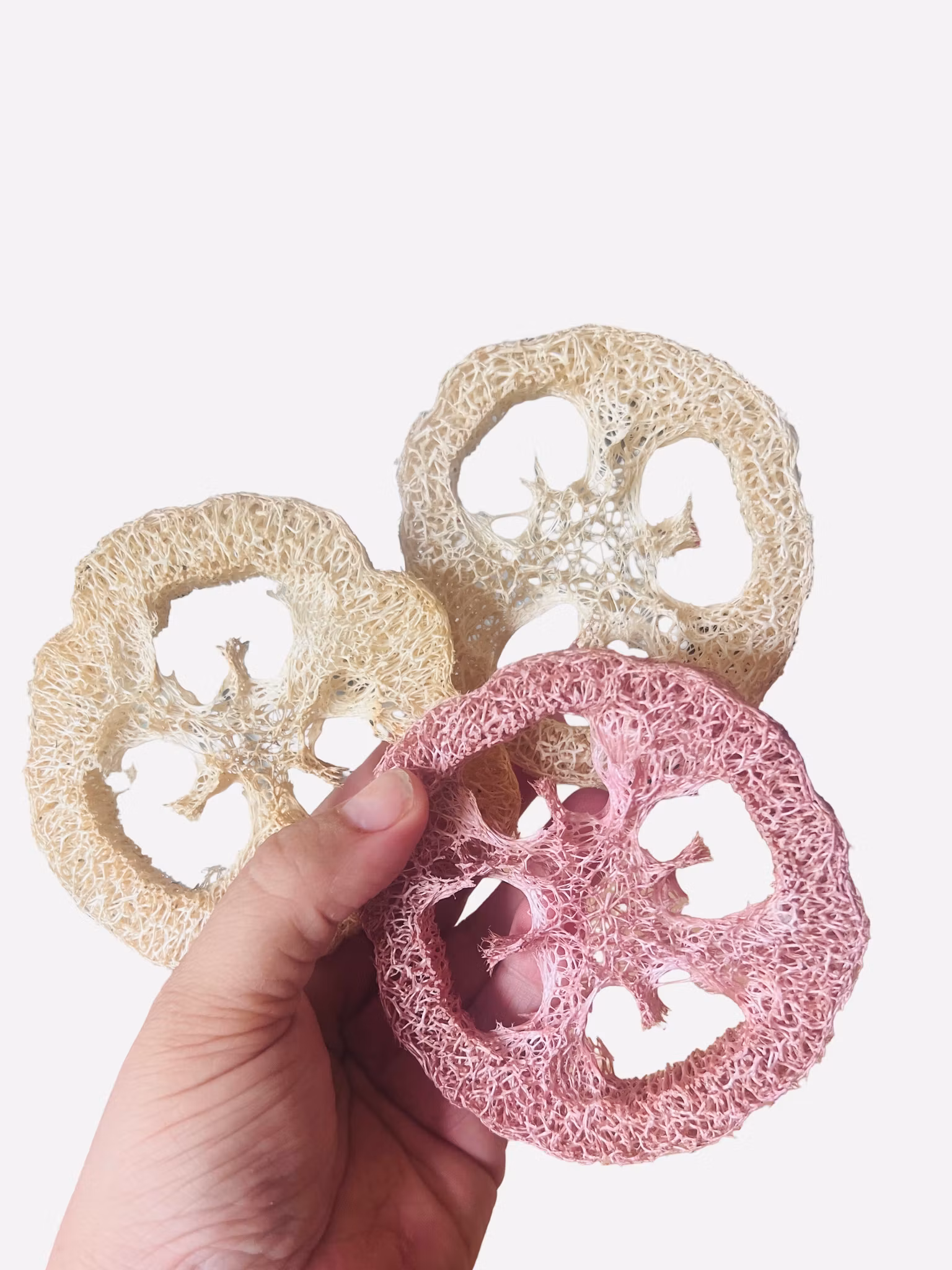 Store smaksatte loofah – 3 stk
