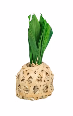 Trixie Gnageleke Ananas
