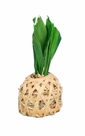 Trixie Gnageleke Ananas