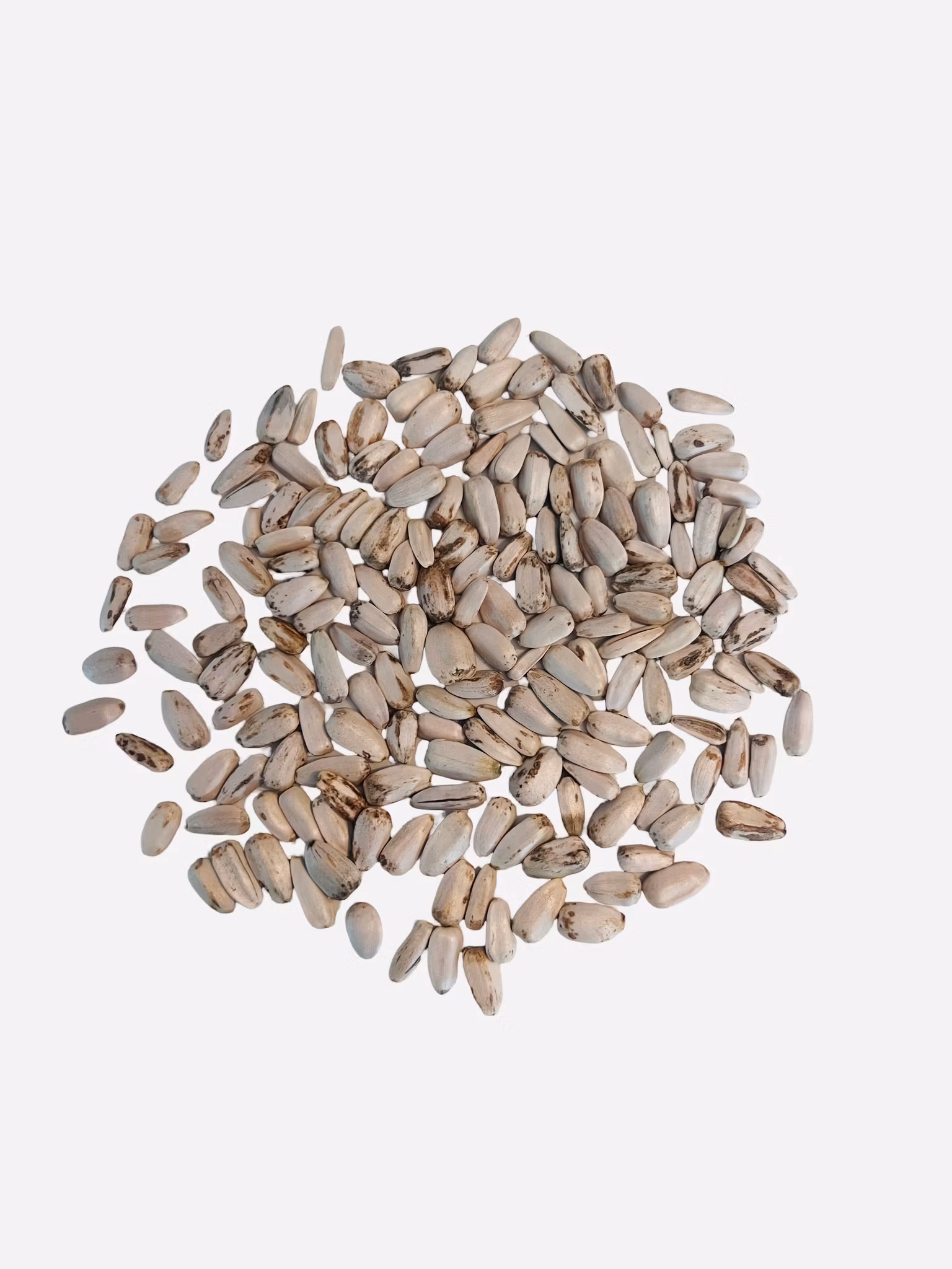 Hvite solsikkefrø 50g