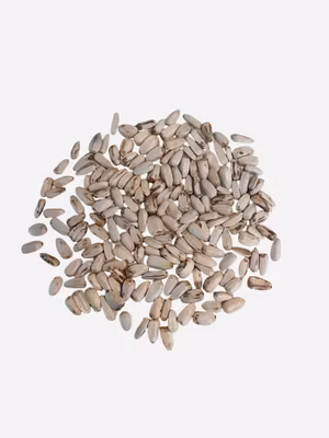 Hvite solsikkefrø 50g