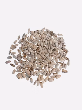 Hvite solsikkefrø 50g