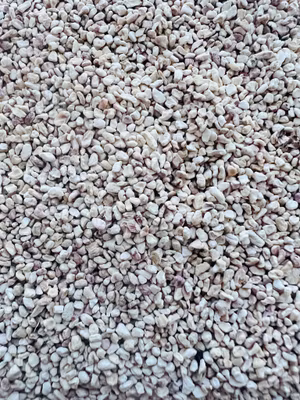 Maisgranulat – naturlig gravesubstrat