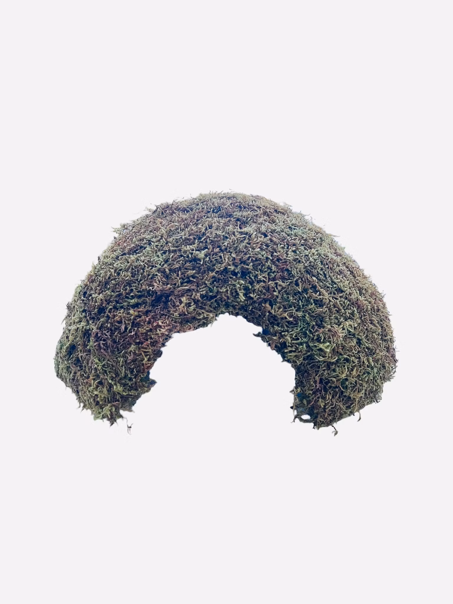 Mosehus – stort naturlig gjemmested