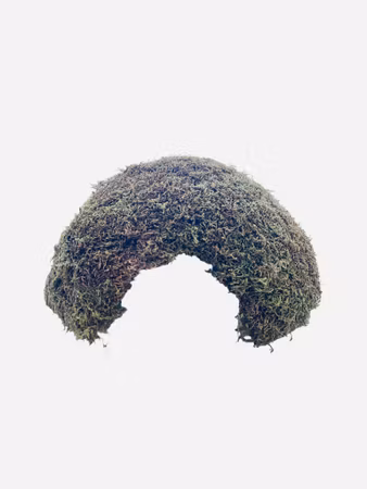 Mosehus – stort naturlig gjemmested