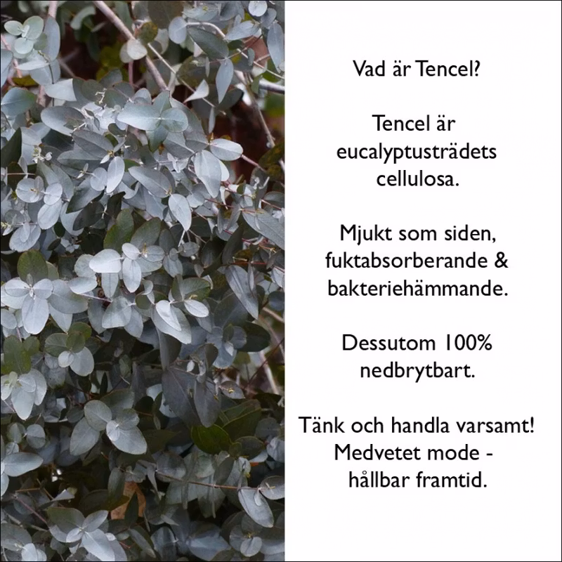 Handla hållbart med Calida.